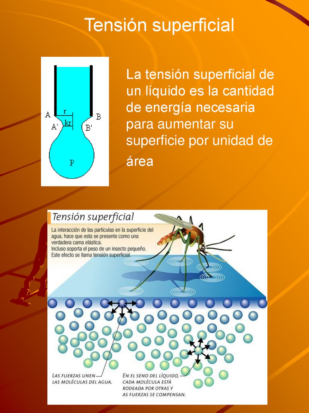 Tensión superficial La tensión superficial de un líquido es la cantidad de energía necesaria para aumentar su superficie por unidad de área.