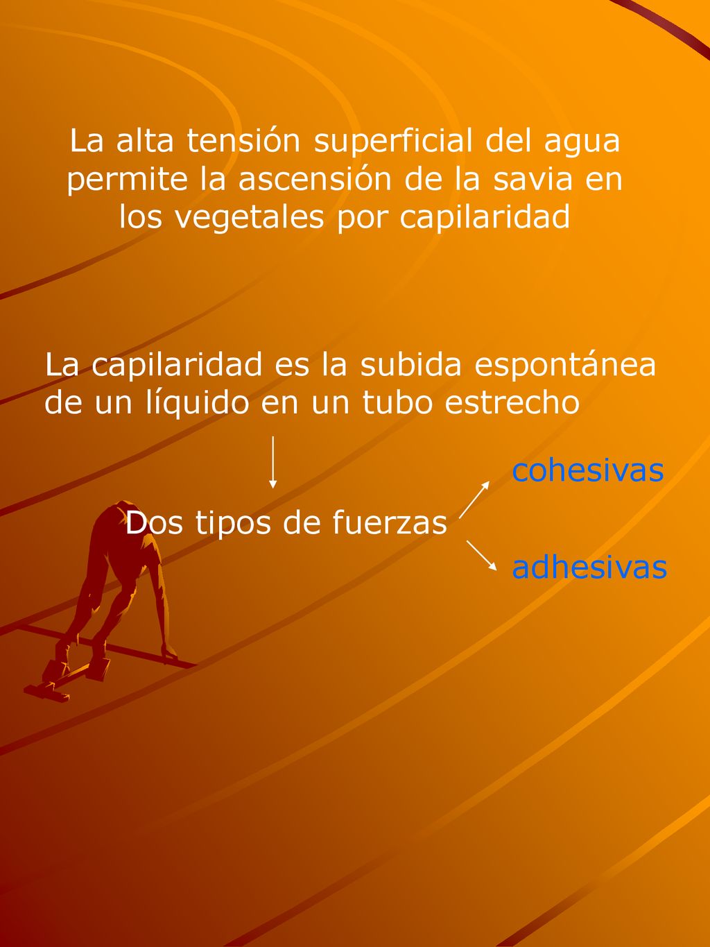 La alta tensión superficial del agua permite la ascensión de la savia en los vegetales por capilaridad