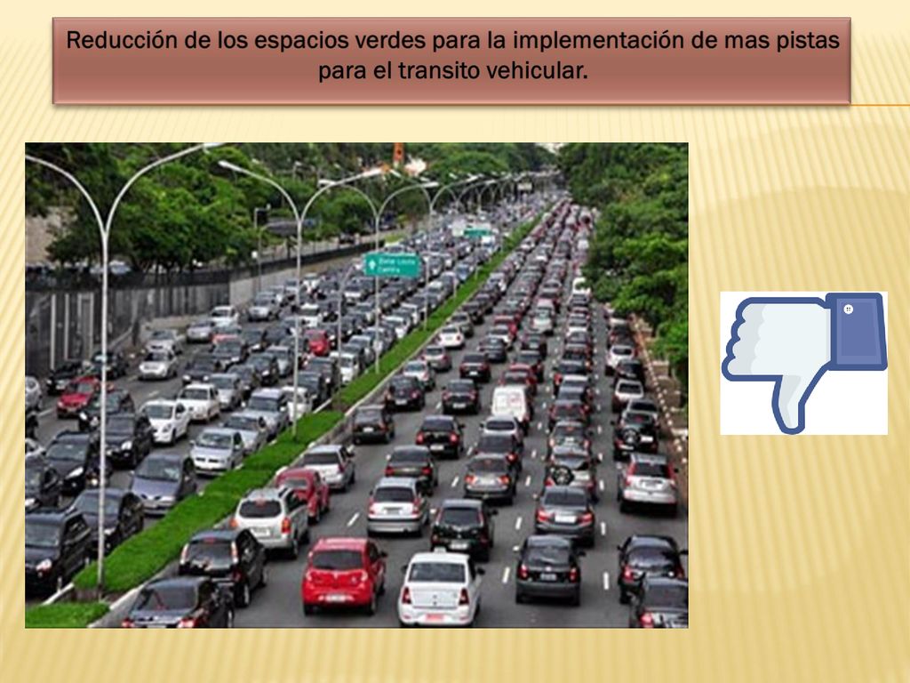 Reducción de los espacios verdes para la implementación de mas pistas para el transito vehicular.