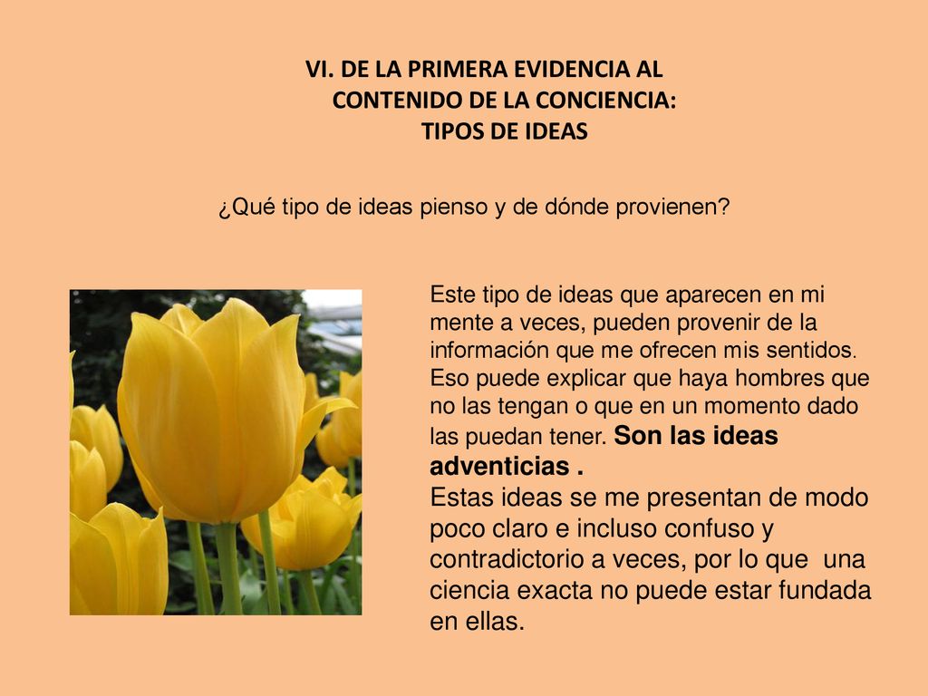 VI. DE LA PRIMERA EVIDENCIA AL CONTENIDO DE LA CONCIENCIA: TIPOS DE IDEAS