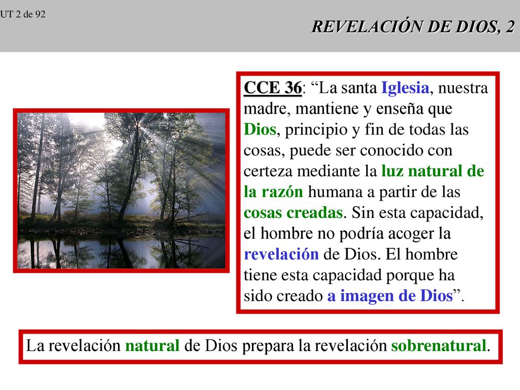 CCE 36: La santa Iglesia, nuestra madre, mantiene y enseña que