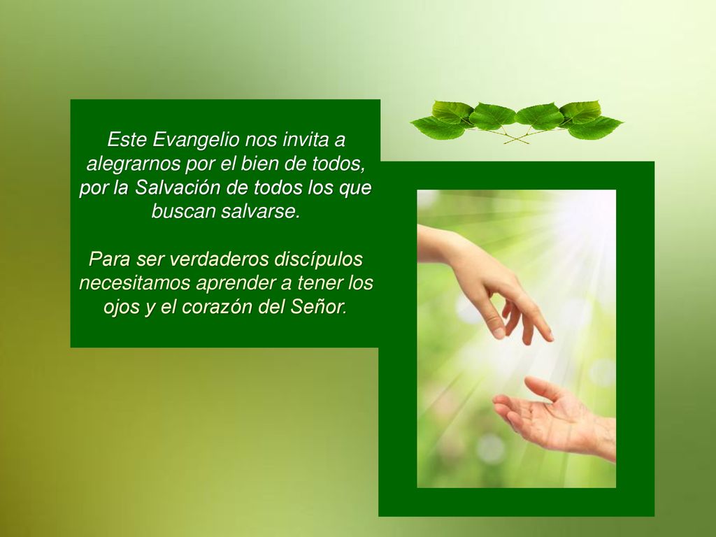 Este Evangelio nos invita a alegrarnos por el bien de todos, por la Salvación de todos los que buscan salvarse.