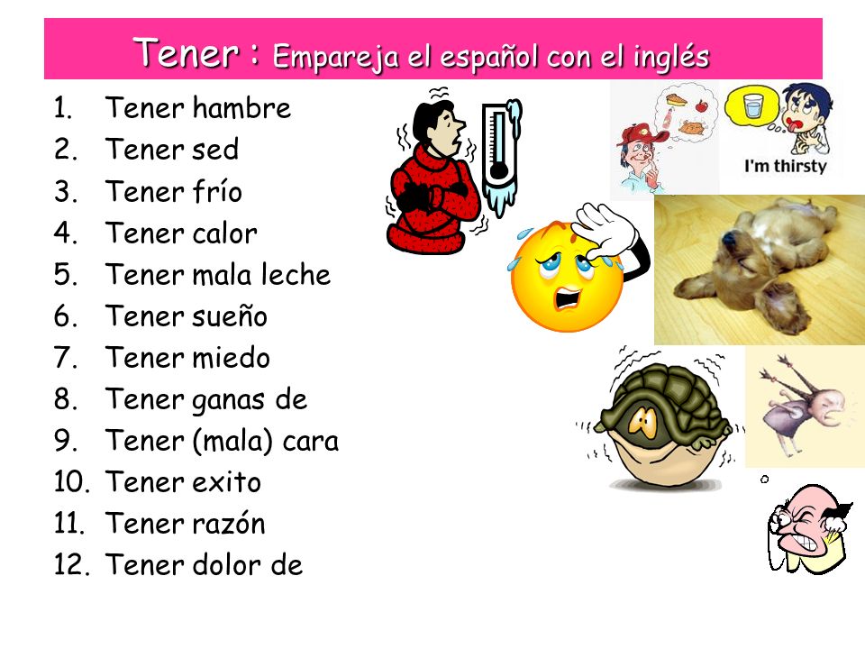 The magic verb 'Tener'. - ppt descargar