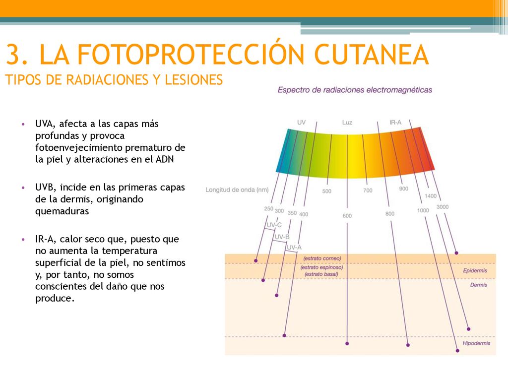 3. LA FOTOPROTECCIÓN CUTANEA TIPOS DE RADIACIONES Y LESIONES