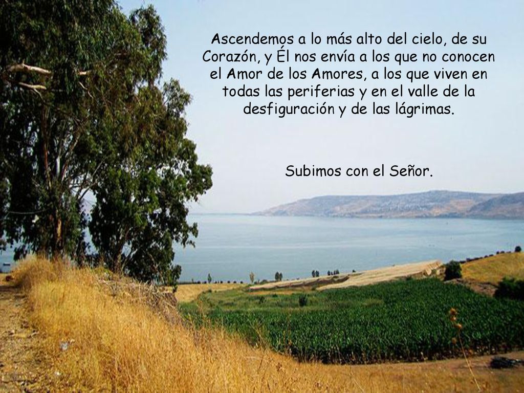 Ascendemos a lo más alto del cielo, de su Corazón, y Él nos envía a los que no conocen el Amor de los Amores, a los que viven en todas las periferias y en el valle de la desfiguración y de las lágrimas.