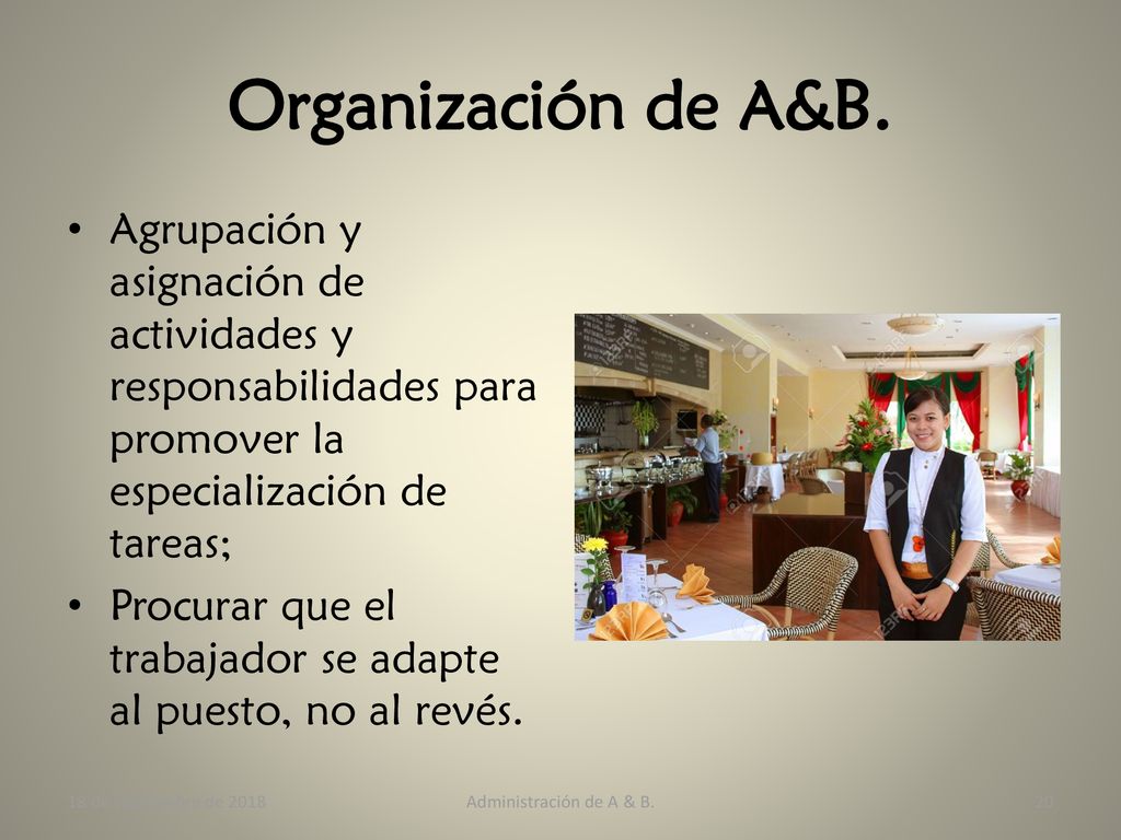 Organización de A&B. Agrupación y asignación de actividades y responsabilidades para promover la especialización de tareas;