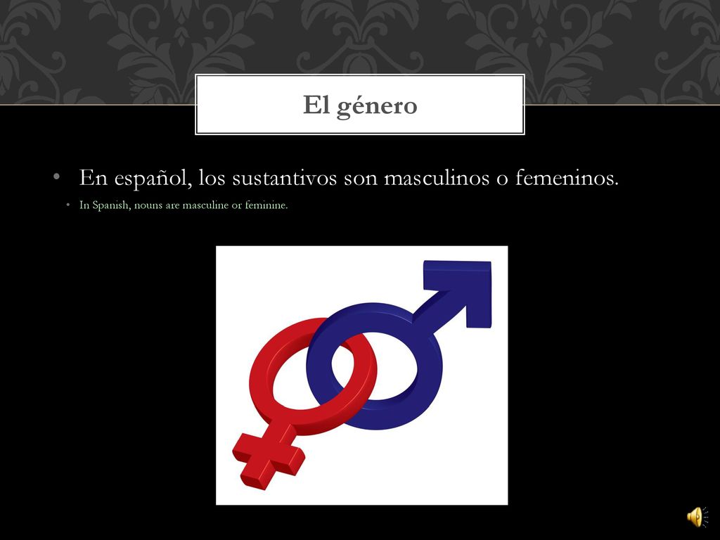 El género En español, los sustantivos son masculinos o femeninos.