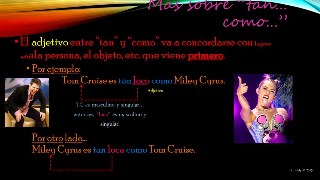 TC es masculino y singular… entonces, loco es masculino y singular.