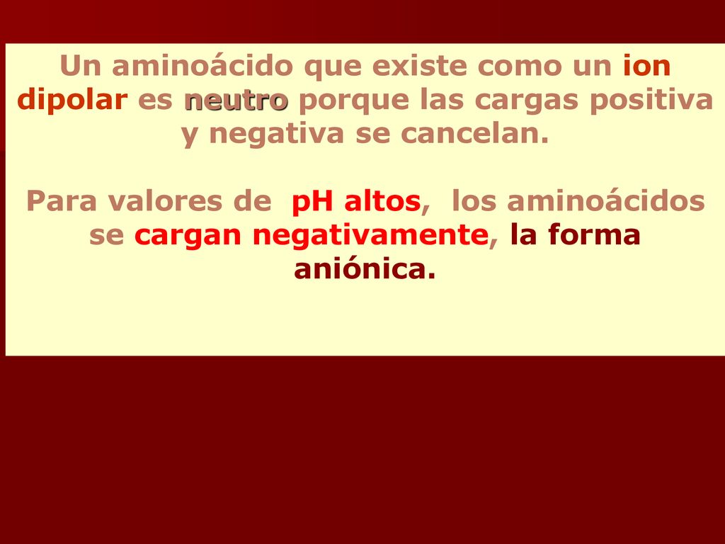 Un aminoácido que existe como un ion dipolar es neutro porque las cargas positiva y negativa se cancelan.