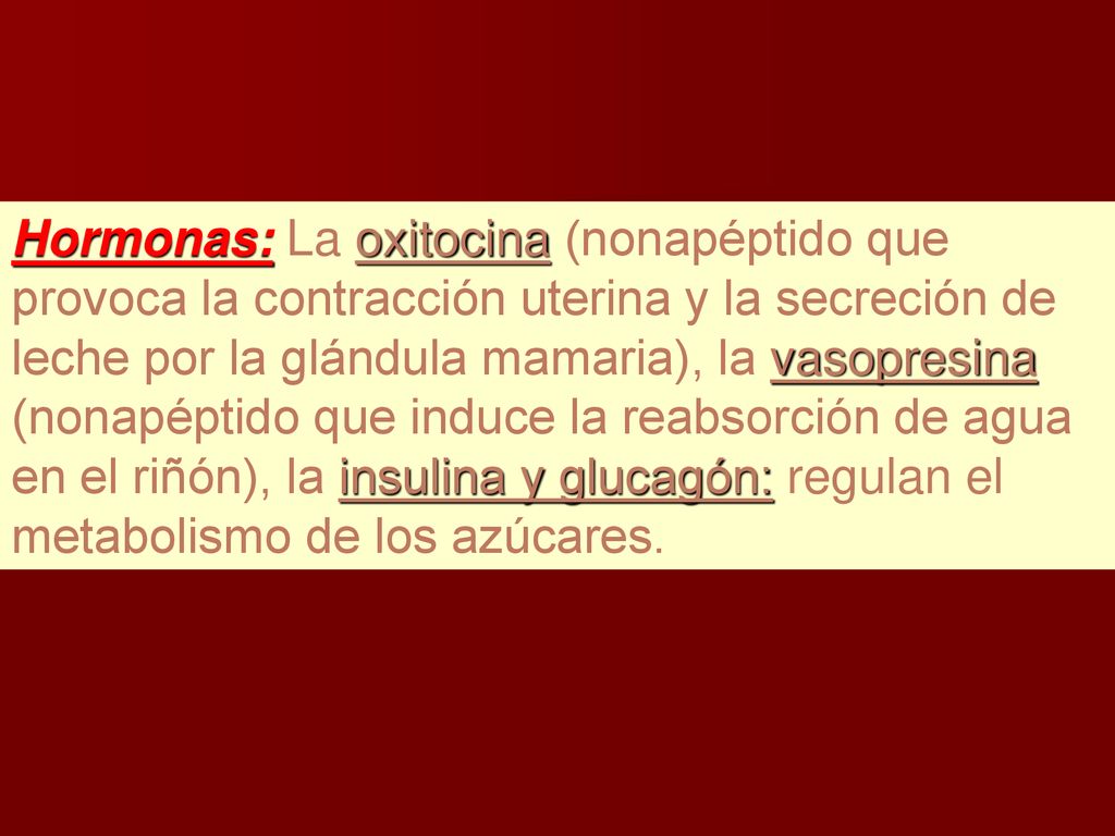 Hormonas: La oxitocina (nonapéptido que provoca la contracción uterina y la secreción de leche por la glándula mamaria), la vasopresina (nonapéptido que induce la reabsorción de agua en el riñón), la insulina y glucagón: regulan el metabolismo de los azúcares.
