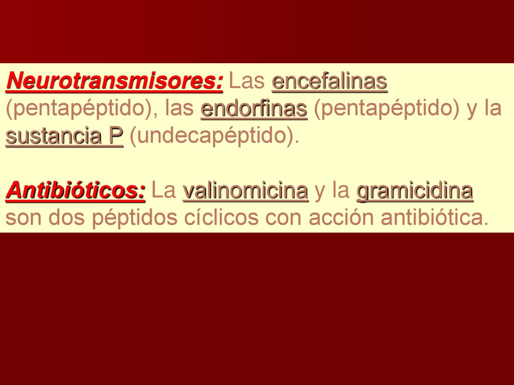 Neurotransmisores: Las encefalinas (pentapéptido), las endorfinas (pentapéptido) y la sustancia P (undecapéptido).