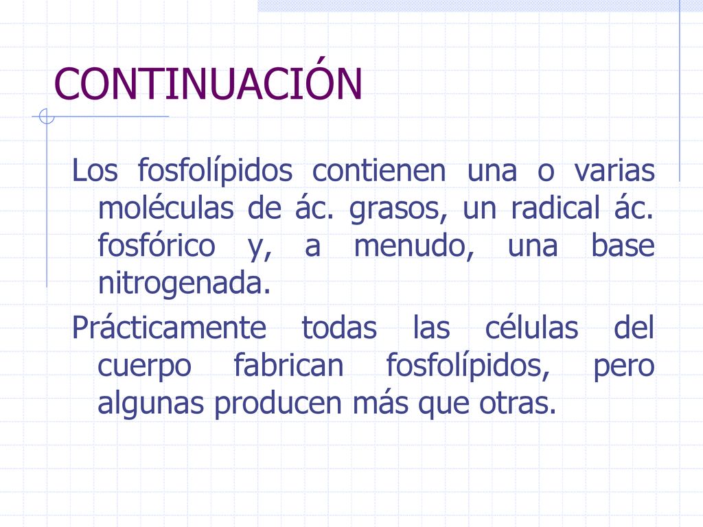 CONTINUACIÓN Los fosfolípidos contienen una o varias moléculas de ác. grasos, un radical ác. fosfórico y, a menudo, una base nitrogenada.