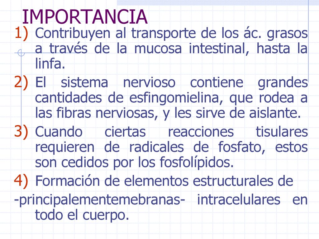 IMPORTANCIA Contribuyen al transporte de los ác. grasos a través de la mucosa intestinal, hasta la linfa.