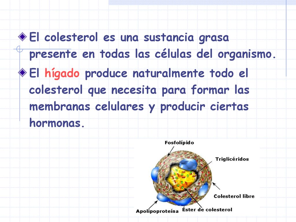 El colesterol es una sustancia grasa presente en todas las células del organismo.