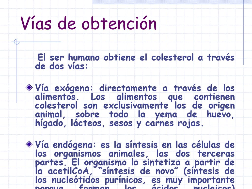 Vías de obtención El ser humano obtiene el colesterol a través de dos vías: