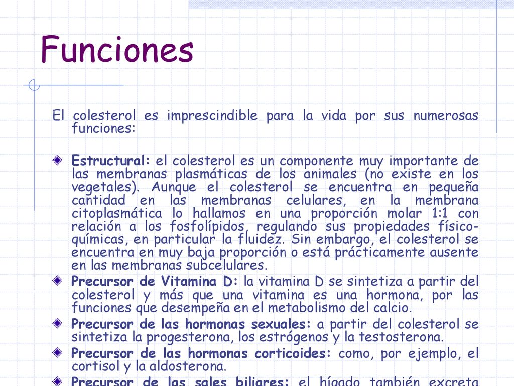 Funciones El colesterol es imprescindible para la vida por sus numerosas funciones: