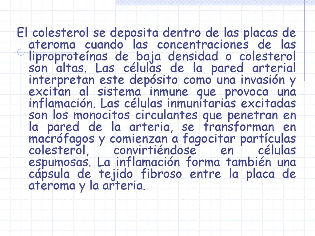 El colesterol se deposita dentro de las placas de ateroma cuando las concentraciones de las liproproteínas de baja densidad o colesterol son altas.