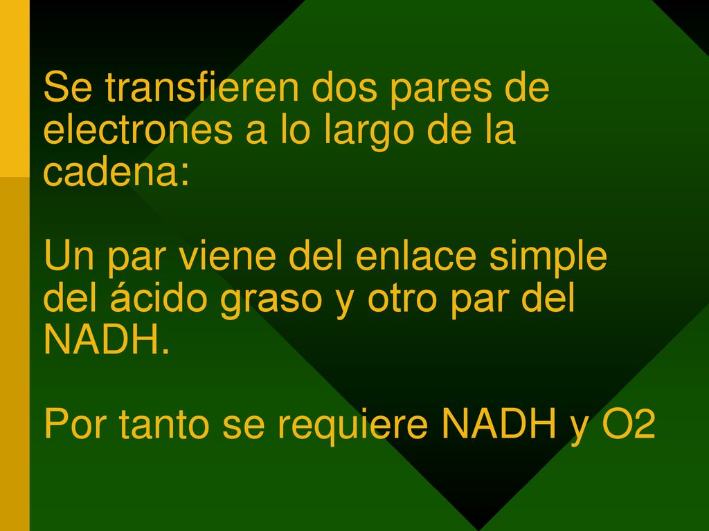 Se transfieren dos pares de electrones a lo largo de la cadena: Un par viene del enlace simple del ácido graso y otro par del NADH.
