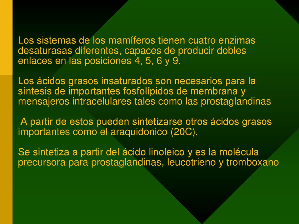 Los sistemas de los mamíferos tienen cuatro enzimas desaturasas diferentes, capaces de producir dobles enlaces en las posiciones 4, 5, 6 y 9.