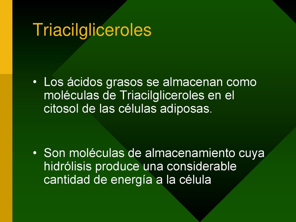 Triacilgliceroles Los ácidos grasos se almacenan como moléculas de Triacilgliceroles en el citosol de las células adiposas.