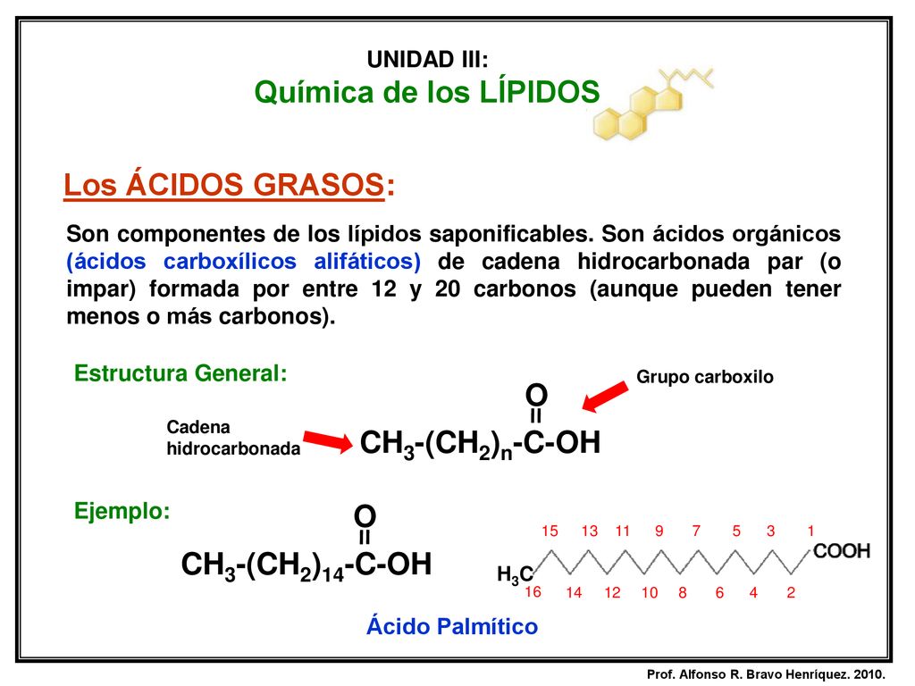 Química de los LÍPIDOS Los ÁCIDOS GRASOS: O CH3-(CH2)n-C-OH O