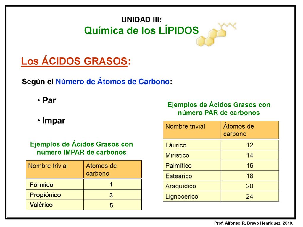 Química de los LÍPIDOS Los ÁCIDOS GRASOS: Par Impar UNIDAD III: