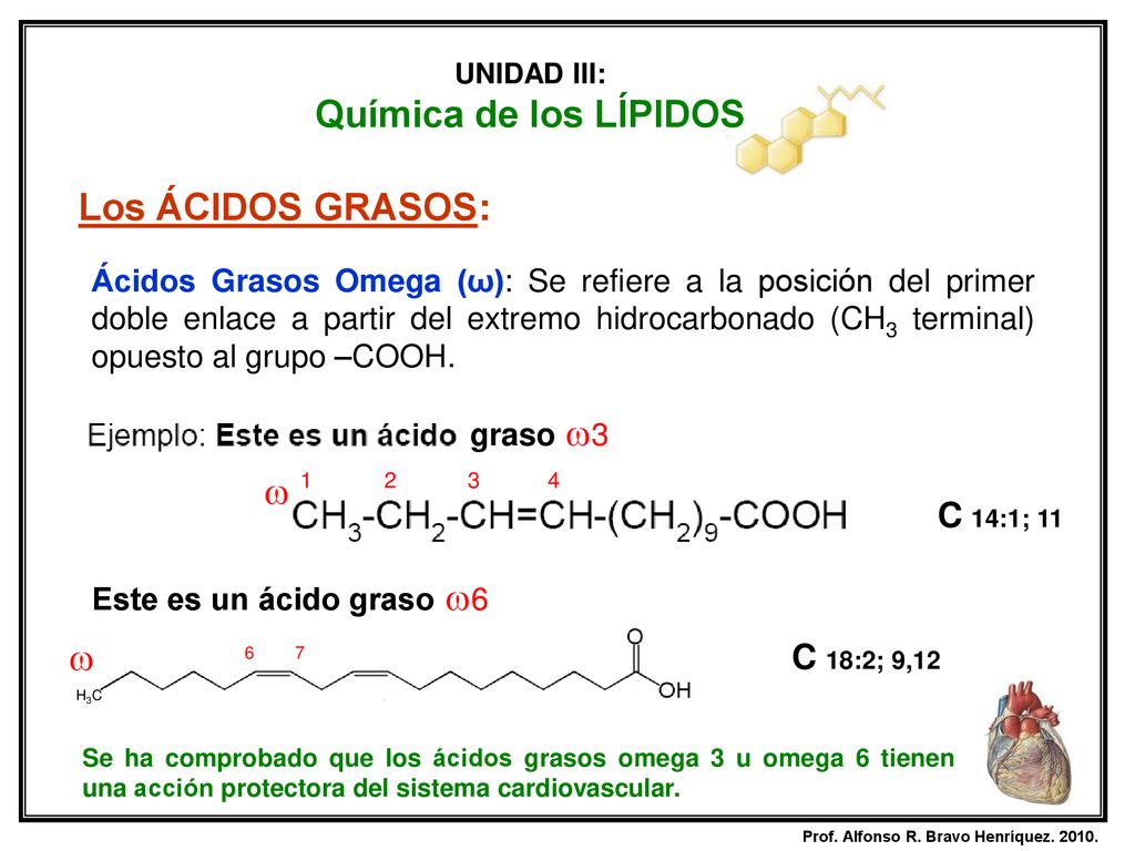 Química de los LÍPIDOS Los ÁCIDOS GRASOS:   C 14:1; 11 C 18:2; 9,12