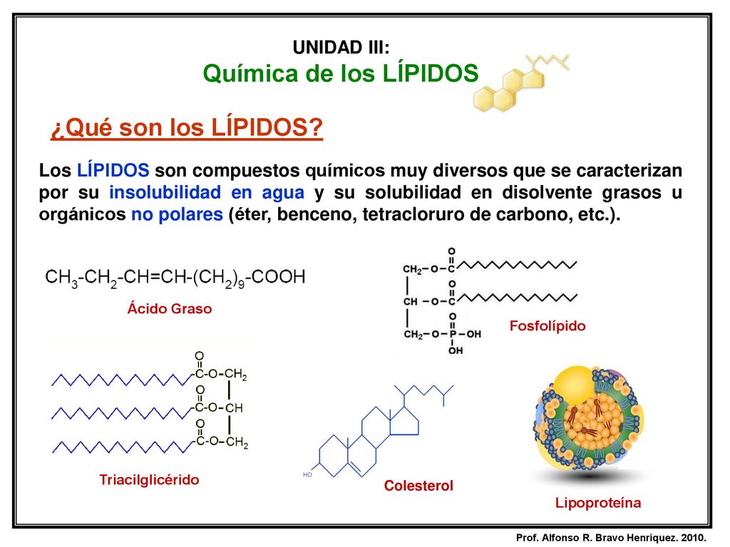 Química de los LÍPIDOS ¿Qué son los LÍPIDOS UNIDAD III: