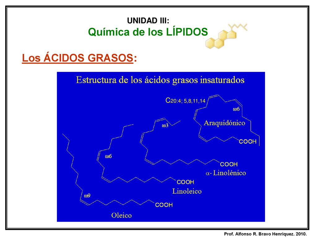 Química de los LÍPIDOS Los ÁCIDOS GRASOS: UNIDAD III: C20:4; 5,8,11,14