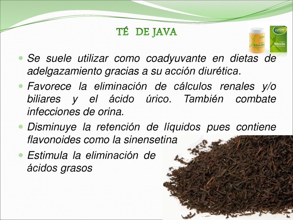 TÉ DE JAVA Se suele utilizar como coadyuvante en dietas de adelgazamiento gracias a su acción diurética.