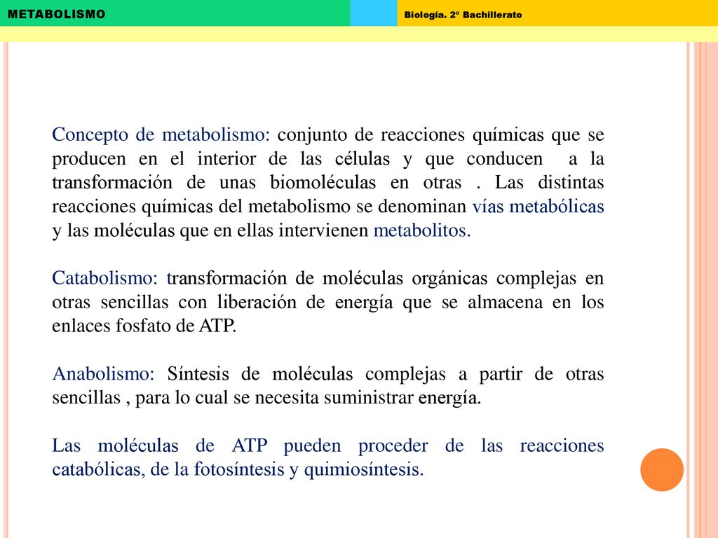 Concepto de metabolismo: conjunto de reacciones químicas que se producen en el interior de las células y que conducen a la transformación de unas biomoléculas en otras . Las distintas reacciones químicas del metabolismo se denominan vías metabólicas y las moléculas que en ellas intervienen metabolitos.