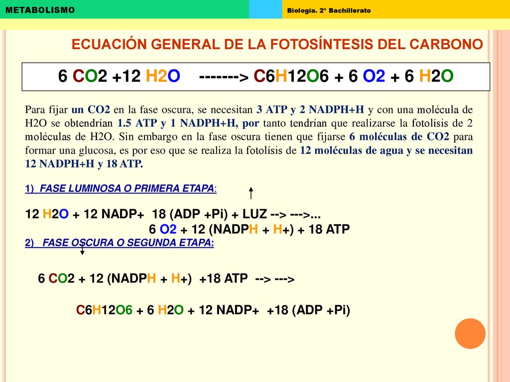 6 CO2 +12 H2O > C6H12O6 + 6 O2 + 6 H2O