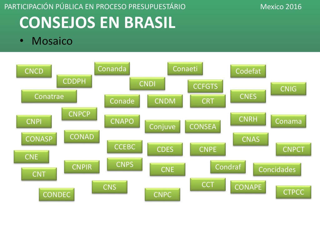 CONSEJOS EN BRASIL Mosaico Conanda Conaeti CNCD Codefat CDDPH CNDI