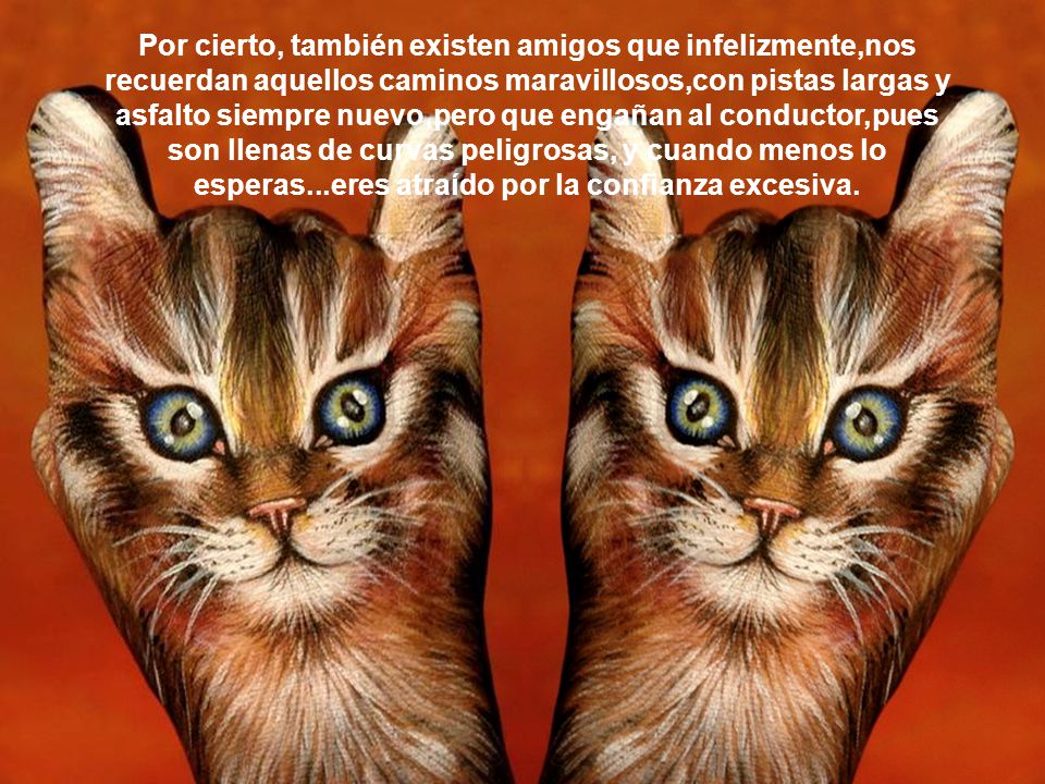 Por cierto, también existen amigos que infelizmente,nos recuerdan aquellos caminos maravillosos,con pistas largas y asfalto siempre nuevo,pero que engañan al conductor,pues son llenas de curvas peligrosas, y cuando menos lo esperas...eres atraído por la confianza excesiva.