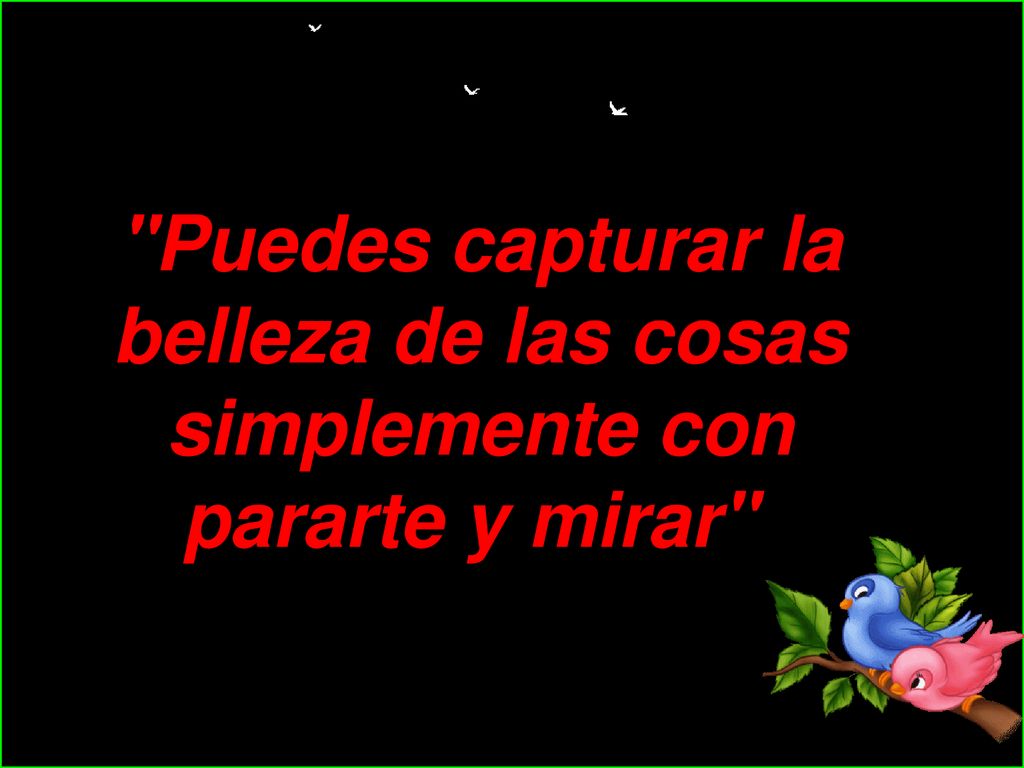 Puedes capturar la belleza de las cosas simplemente con pararte y mirar