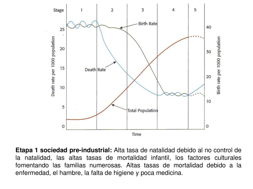 Etapa 1 sociedad pre-industrial: Alta tasa de natalidad debido al no control de la natalidad, las altas tasas de mortalidad infantil, los factores culturales fomentando las familias numerosas.