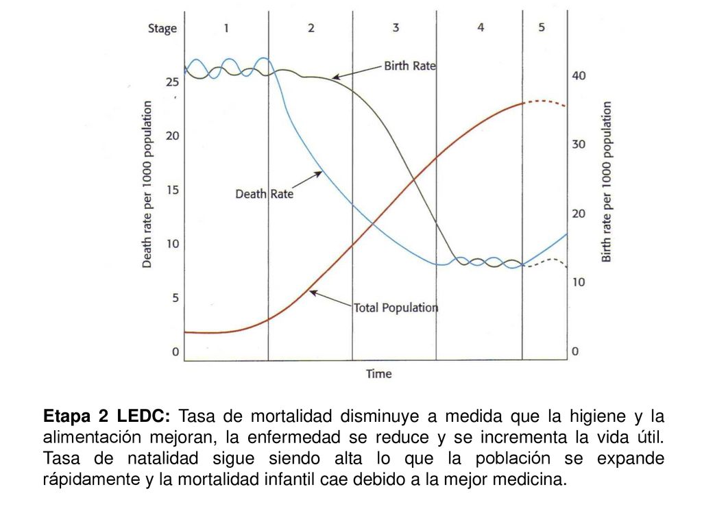 Etapa 2 LEDC: Tasa de mortalidad disminuye a medida que la higiene y la alimentación mejoran, la enfermedad se reduce y se incrementa la vida útil.