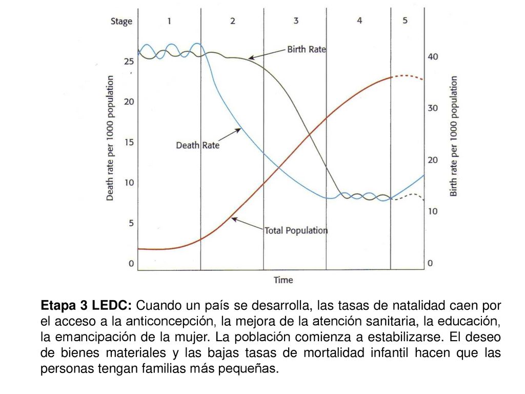 Etapa 3 LEDC: Cuando un país se desarrolla, las tasas de natalidad caen por el acceso a la anticoncepción, la mejora de la atención sanitaria, la educación, la emancipación de la mujer.