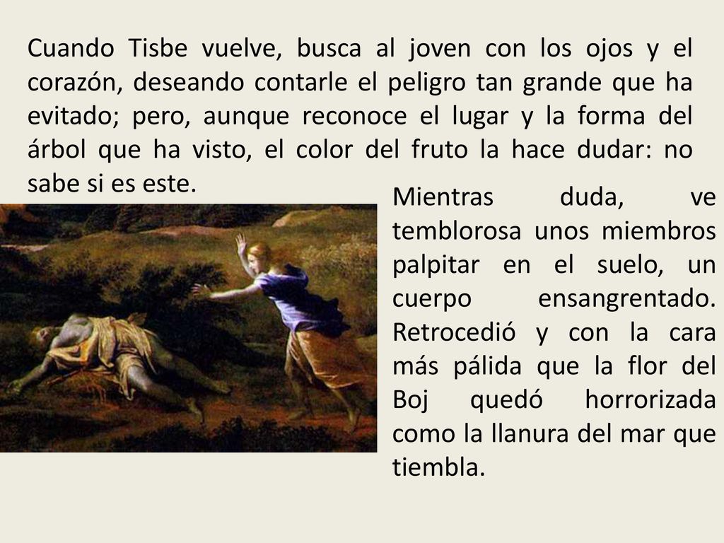 Cuando Tisbe vuelve, busca al joven con los ojos y el corazón, deseando contarle el peligro tan grande que ha evitado; pero, aunque reconoce el lugar y la forma del árbol que ha visto, el color del fruto la hace dudar: no sabe si es este.