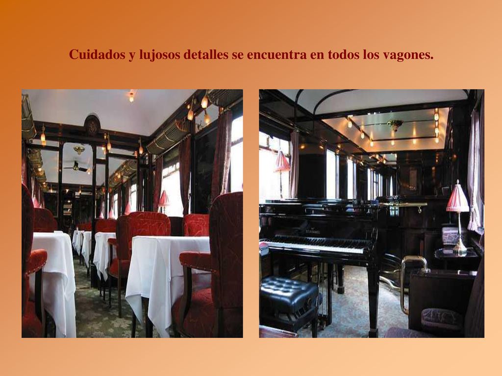 Cuidados y lujosos detalles se encuentra en todos los vagones.