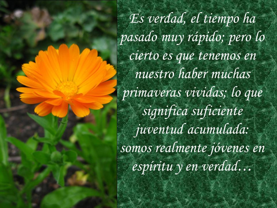 Es verdad, el tiempo ha pasado muy rápido; pero lo cierto es que tenemos en nuestro haber muchas primaveras vividas; lo que significa suficiente juventud acumulada: somos realmente jóvenes en espíritu y en verdad…