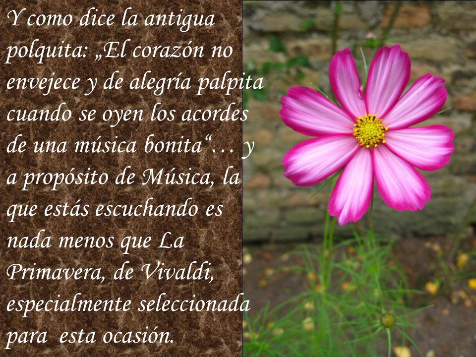 Y como dice la antigua polquita: „El corazón no envejece y de alegría palpita cuando se oyen los acordes de una música bonita … y a propósito de Música, la que estás escuchando es nada menos que La Primavera, de Vivaldi, especialmente seleccionada para esta ocasión.