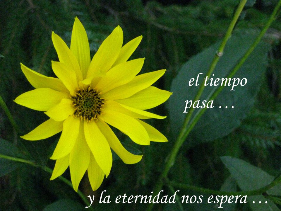 el tiempo pasa … y la eternidad nos espera …