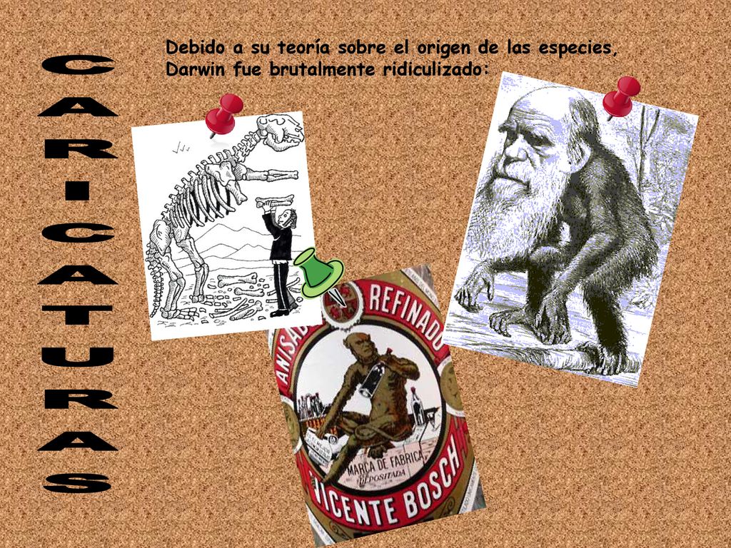 Debido a su teoría sobre el origen de las especies, Darwin fue brutalmente ridiculizado: