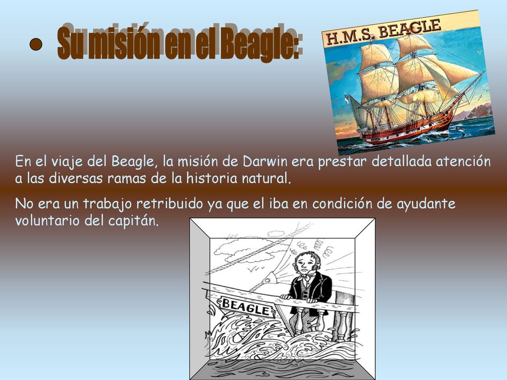 Su misión en el Beagle: En el viaje del Beagle, la misión de Darwin era prestar detallada atención a las diversas ramas de la historia natural.