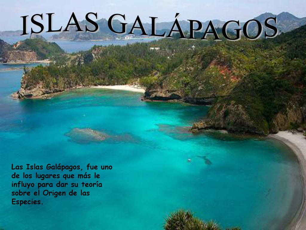 ISLAS GALÁPAGOS Las Islas Galápagos, fue uno de los lugares que más le influyo para dar su teoría sobre el Origen de las Especies.