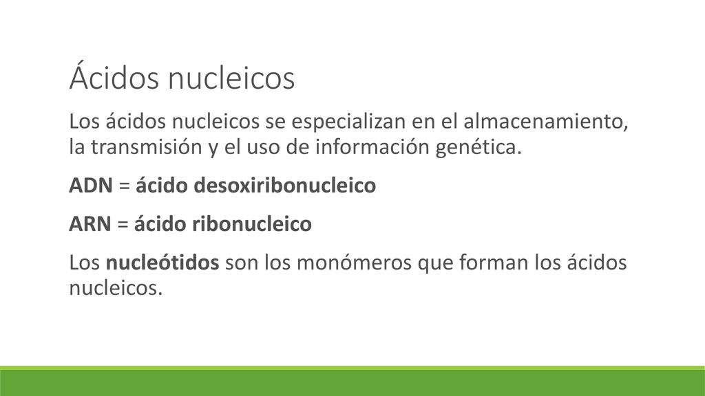Ácidos nucleicos Los ácidos nucleicos se especializan en el almacenamiento, la transmisión y el uso de información genética.