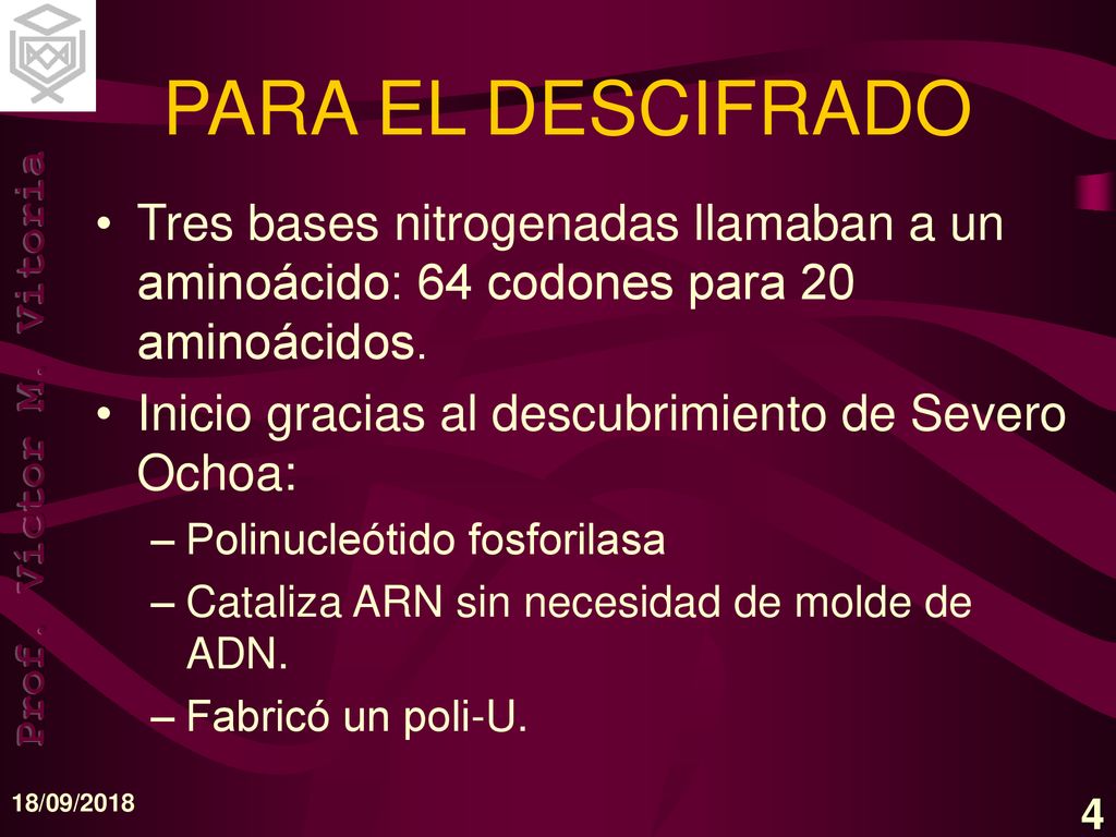 PARA EL DESCIFRADO Tres bases nitrogenadas llamaban a un aminoácido: 64 codones para 20 aminoácidos.