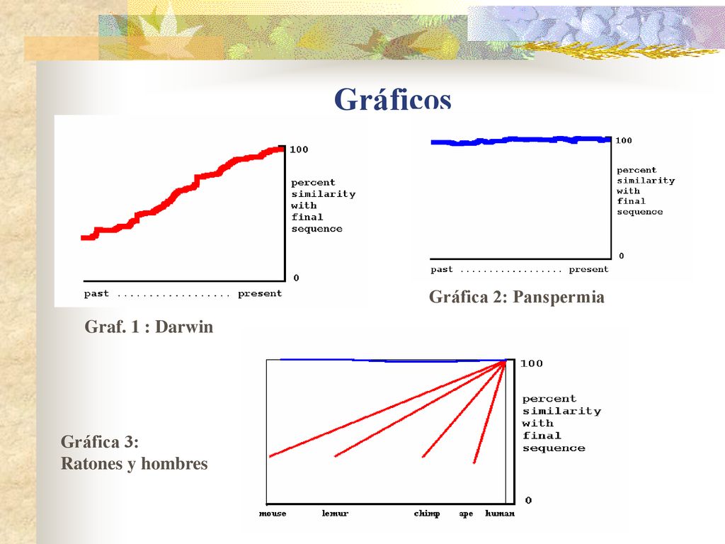 Gráficos Gráfica 2: Panspermia Graf. 1 : Darwin Gráfica 3:
