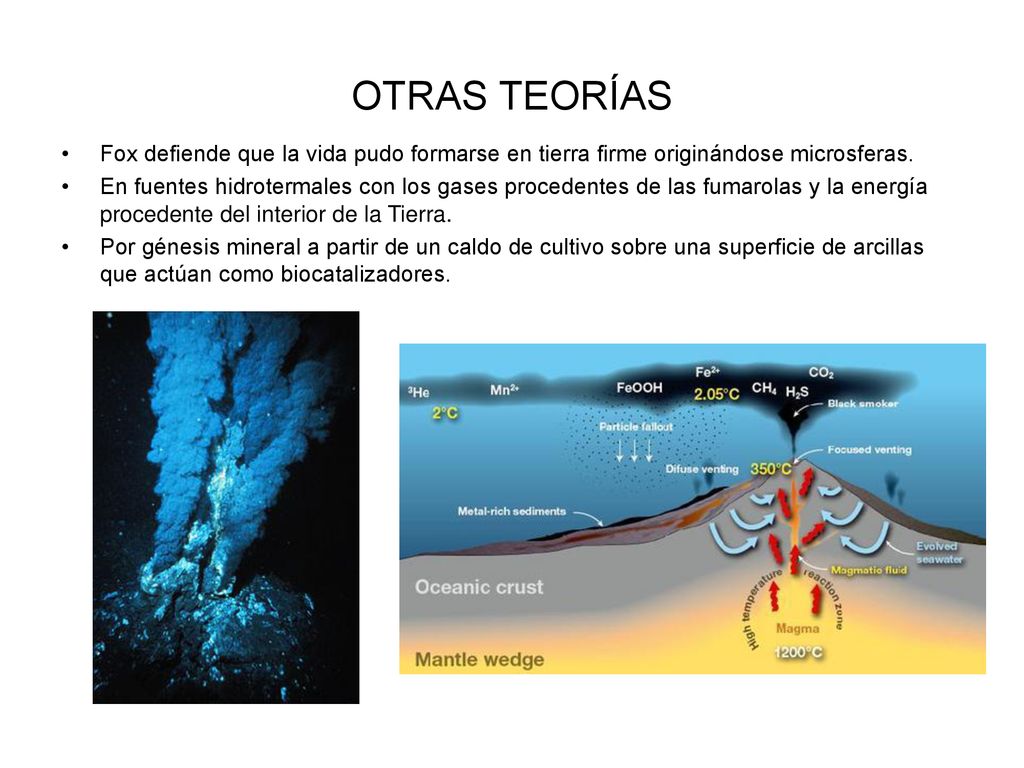 OTRAS TEORÍAS Fox defiende que la vida pudo formarse en tierra firme originándose microsferas.
